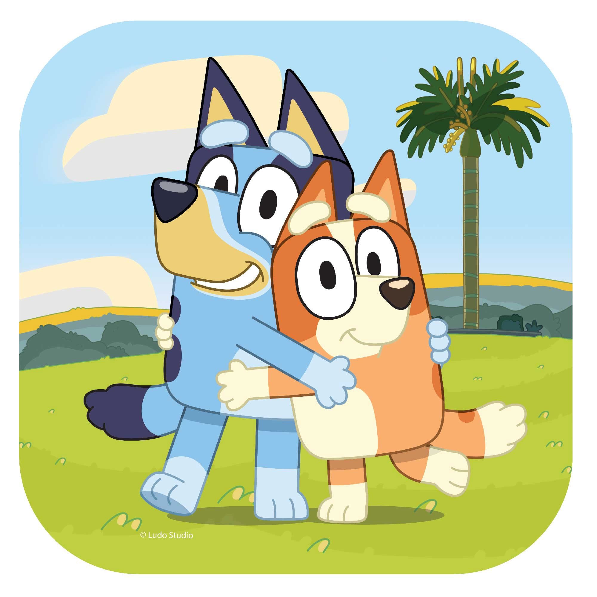 Join the fun with our Bluey Party Decorations! Bring the beloved characters from the hit children's show into your celebration and create an unforgettable experience any little one. 